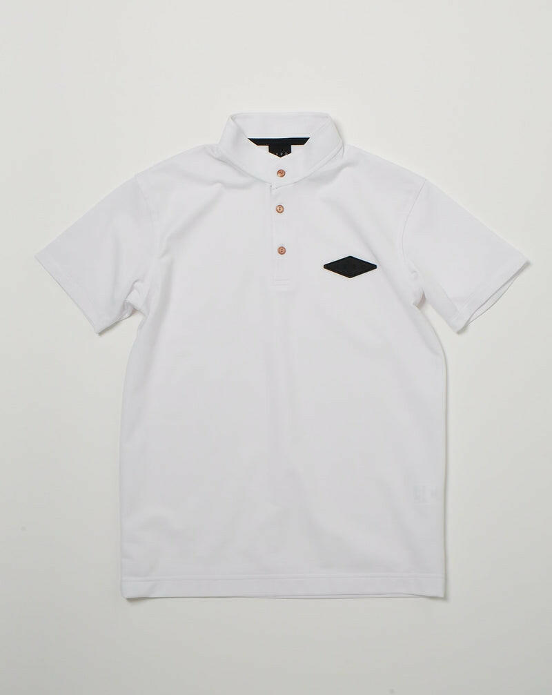 HERG1 MENS STAND COLLOR POLO