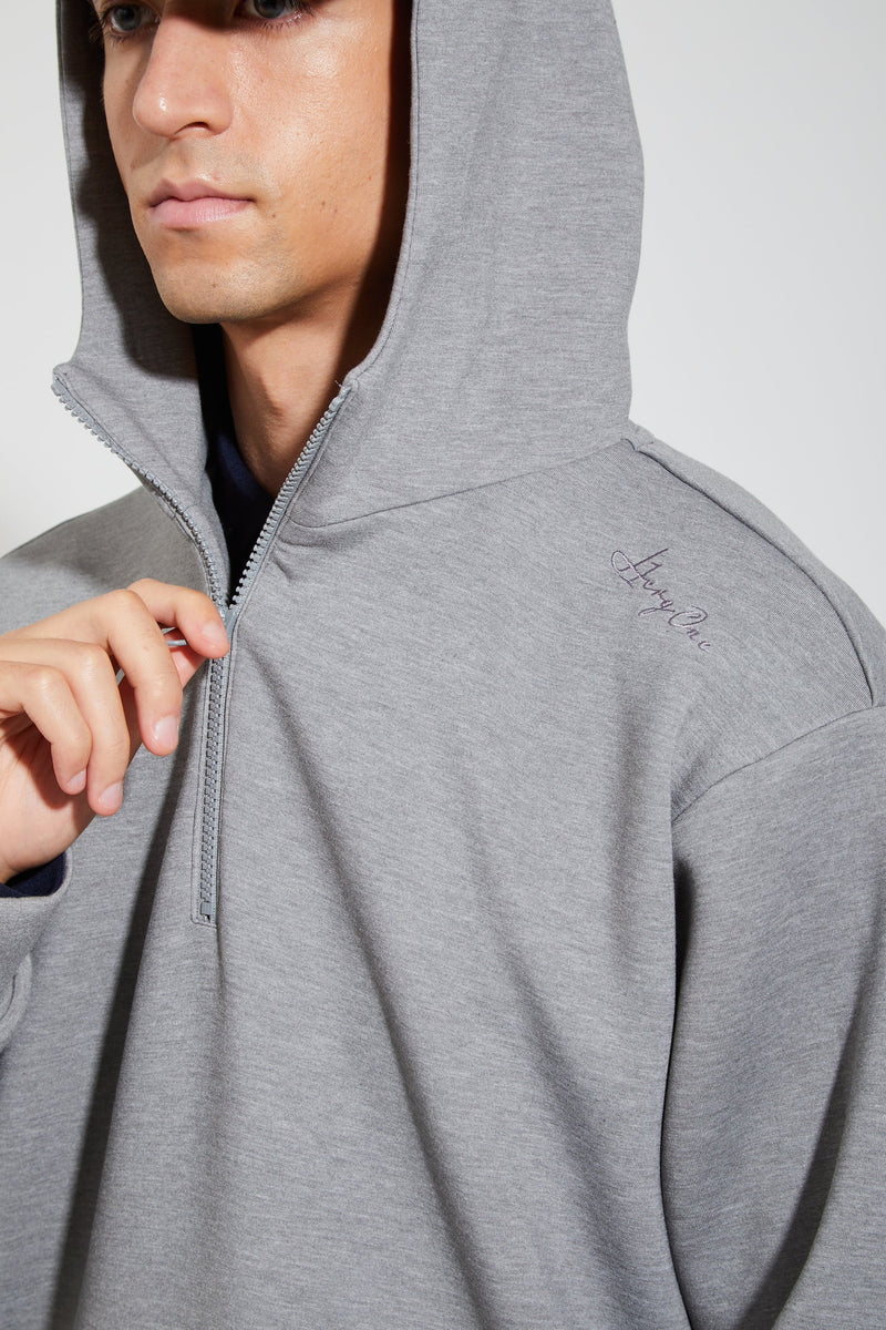 HERG1 MEN MENS HALFZIP HOODIE