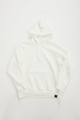 HERG1 MEN MENS HALFZIP HOODIE