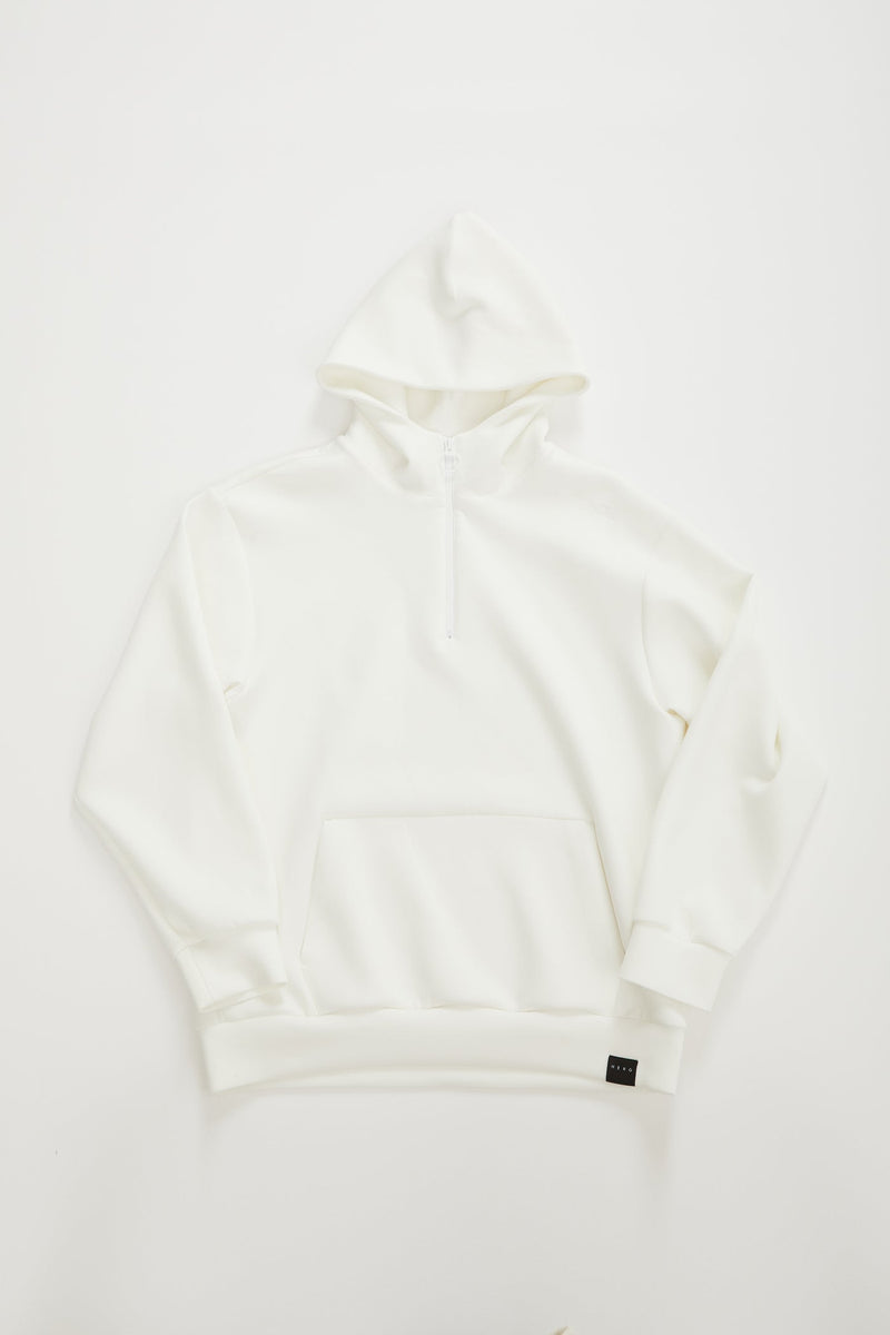 HERG1 MEN MENS HALFZIP HOODIE